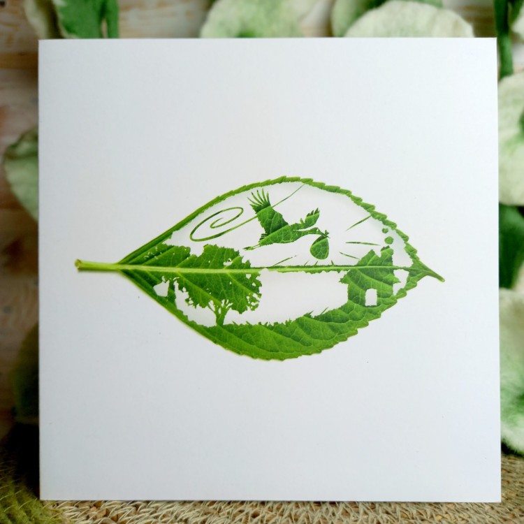 1 Tree Cards - New Delivery