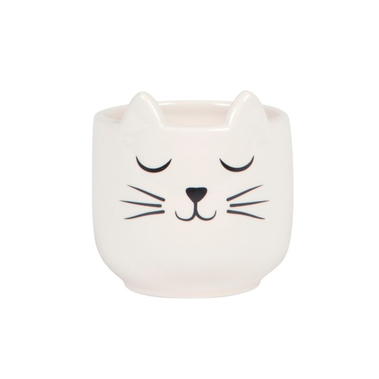 Sass & Belle Mini cats whisker planter