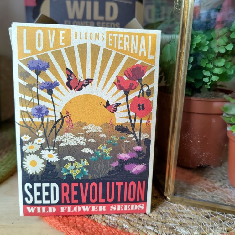 Wild Flower Seeds Packet